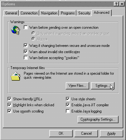 ie3_2.gif (14317 bytes)
