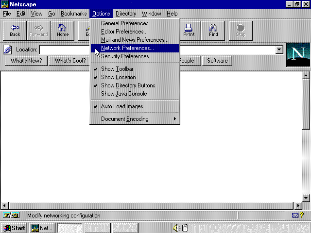 net3_1.gif (17319 bytes)